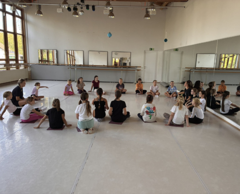 Fair Tanzen – Workshop Und Präsentation 003