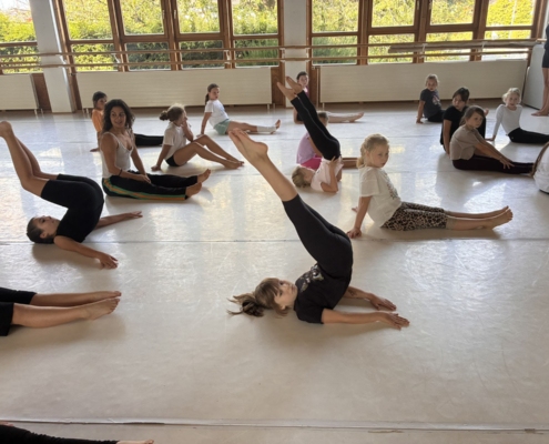 Fair Tanzen – Workshop Und Präsentation 007