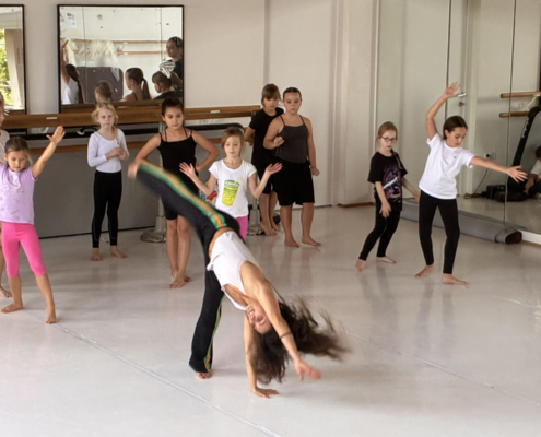 Fair Tanzen – Workshop Und Präsentation 008
