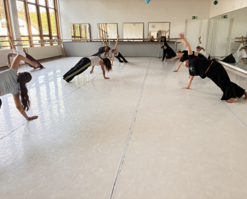Fair Tanzen – Workshop Und Präsentation 009