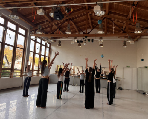 Fair Tanzen – Workshop Und Präsentation 011