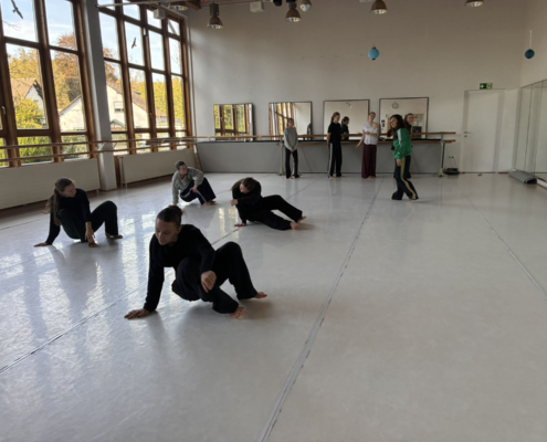 Fair Tanzen – Workshop Und Präsentation 012