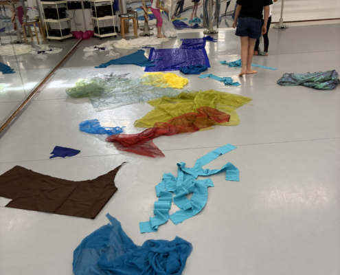 Fair Tanzen – Workshop Und Präsentation 023