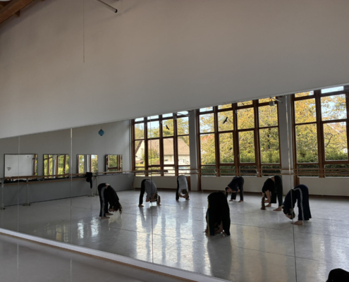 Fair Tanzen – Workshop Und Präsentation 027