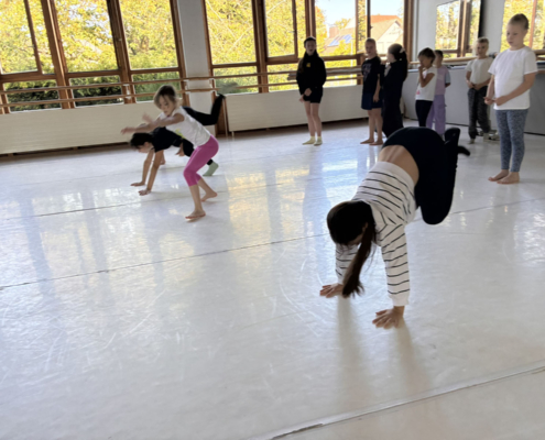 Fair Tanzen – Workshop Und Präsentation 040