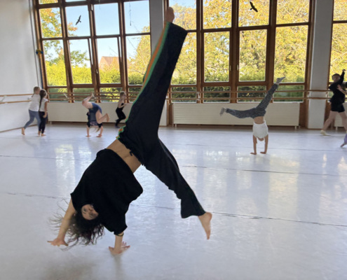 Fair Tanzen – Workshop Und Präsentation 041