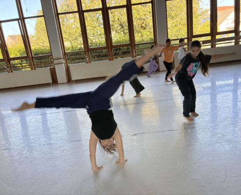 Fair Tanzen – Workshop Und Präsentation 042