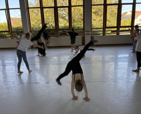 Fair Tanzen – Workshop Und Präsentation 043