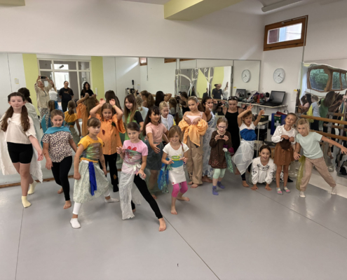 Fair Tanzen – Workshop Und Präsentation 048