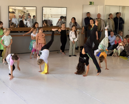 Fair Tanzen – Workshop Und Präsentation 052